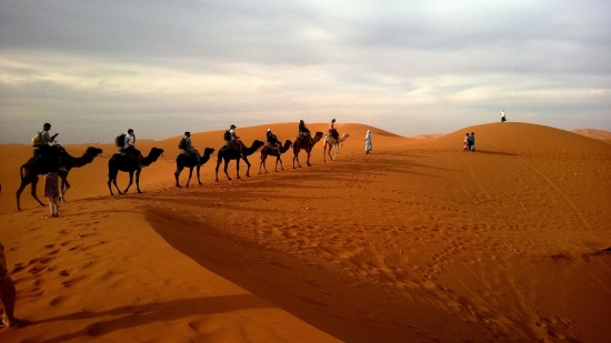 Vajes a Dubai - Nueva Web - / - Buteler en Dubai